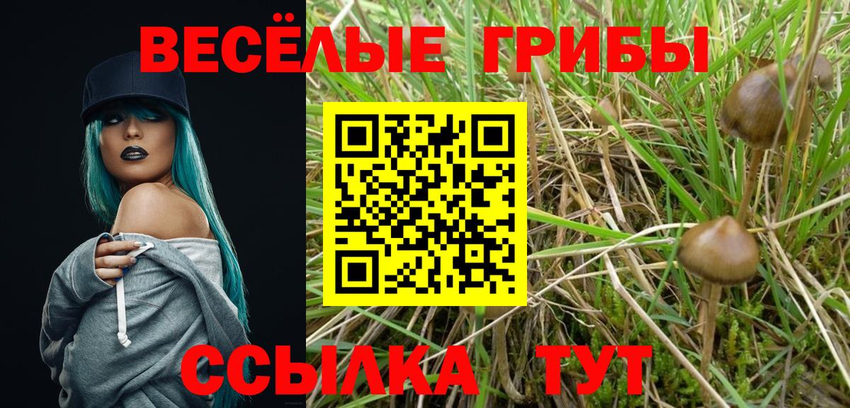 Нововоронеж  Галлюциногенные грибы GOLDEN TEACHER  Вход с VPN 