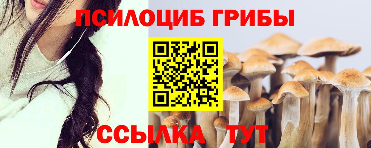 Галлюциногенные грибы мицелий Нововоронеж
